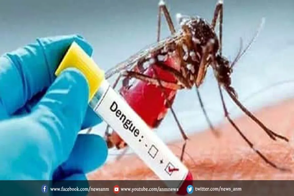 लखनऊ में बढ़ रहा डेंगू