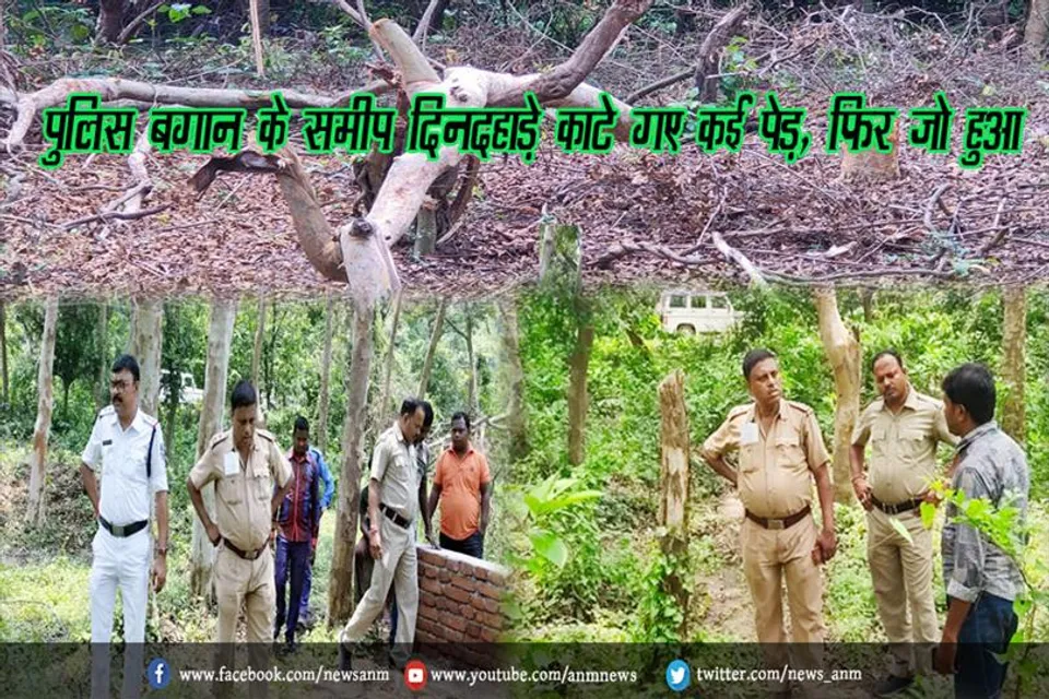 पुलिस बगान के समीप दिनदहाड़े काटे गए कई पेड़, फिर जो हुआ