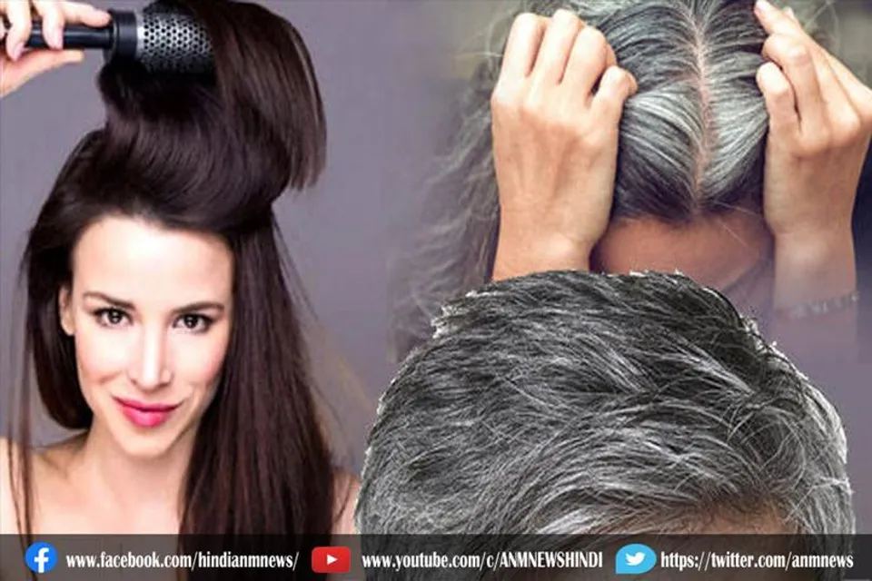 सफेद बालों की परेशानी को जड़ से खत्म कर देगी ये चीज
