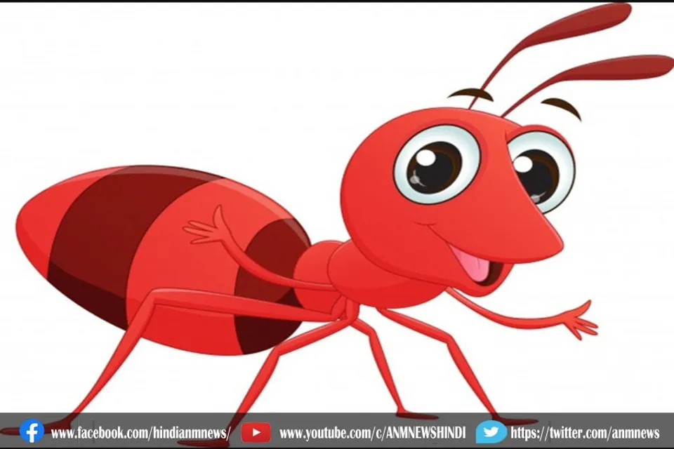 चौंकाने वाले बातें