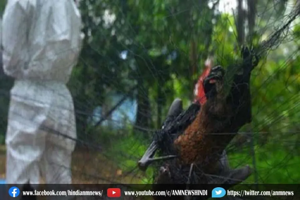केरल में बढ़ा निपाह वायरस का खतरा