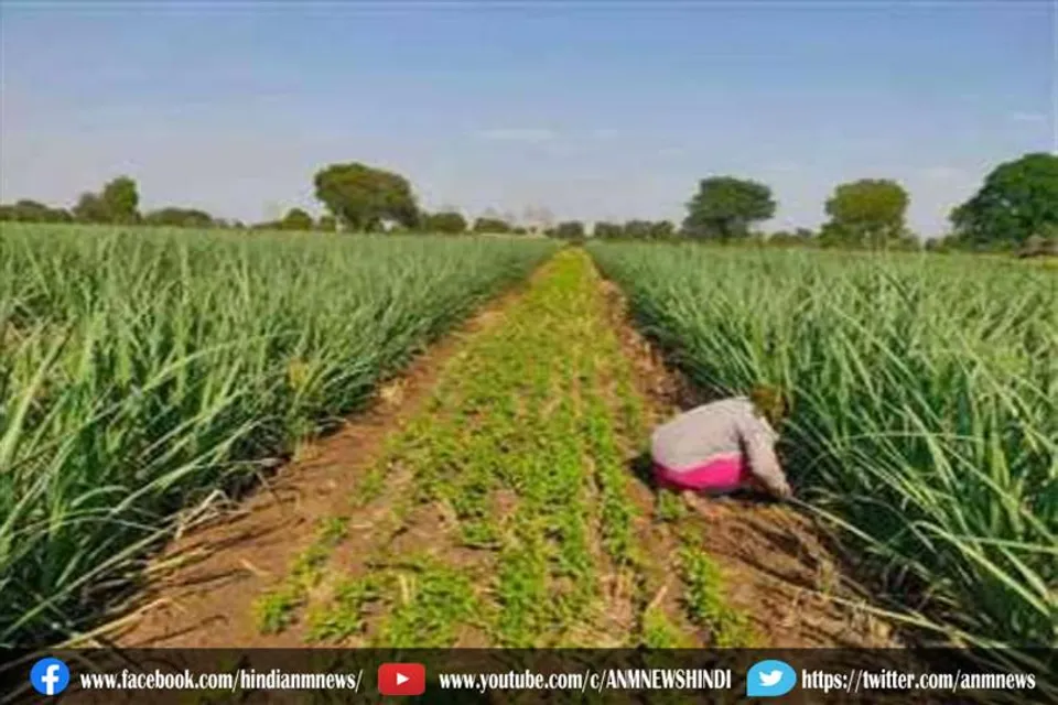 अपने फार्म हाउस पर प्याज की खेती करवा रहे है धर्मेंद्र
