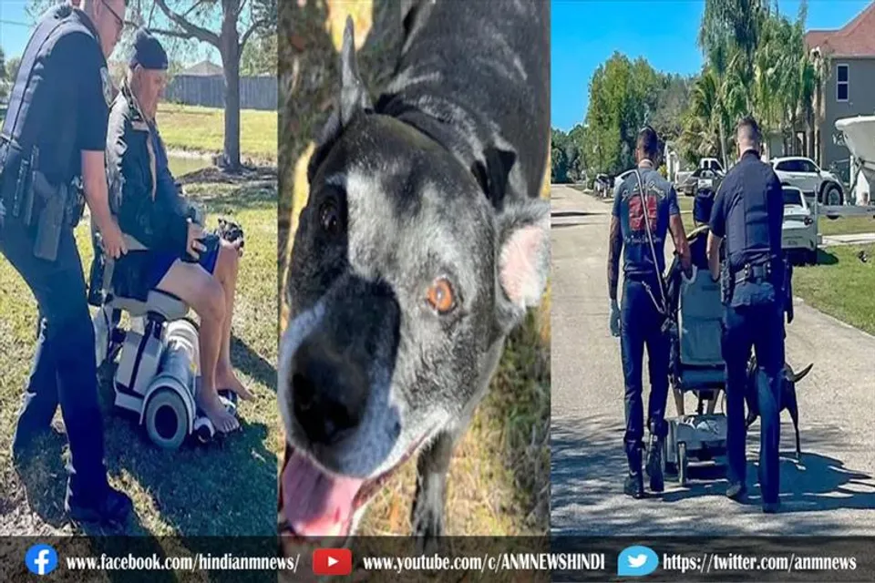 कुत्ते ने नदी में डूबते मालिक की बचाई जान