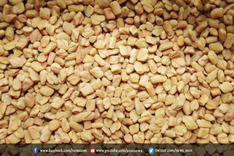 सुबह खाली पेट करें मेथी के पानी का सेवन, मिलेंगे कई चमत्कारी फायदे