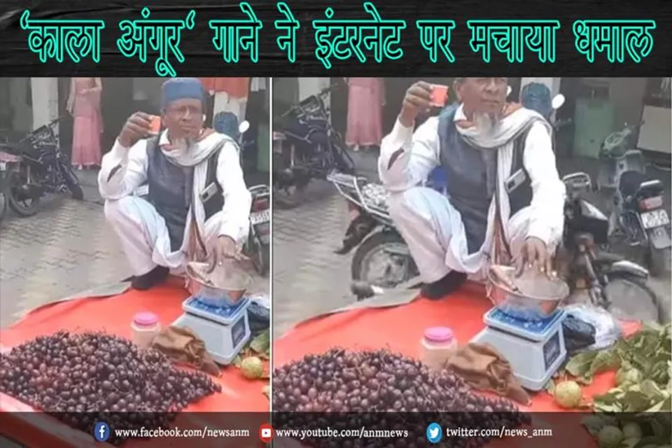 'काला अंगूर' गाने ने इंटरनेट पर मचाया धमाल