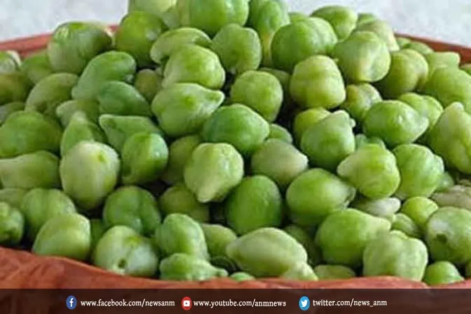 सर्दियों की डाइट में शामिल करे हरे चने