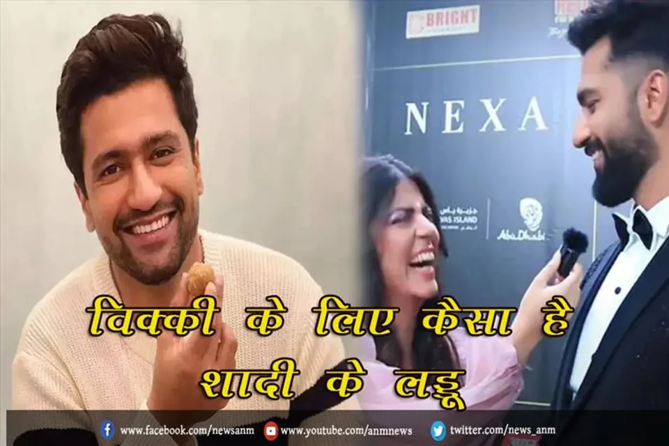 विक्की के लिए कैसा है शादी के लड्डू