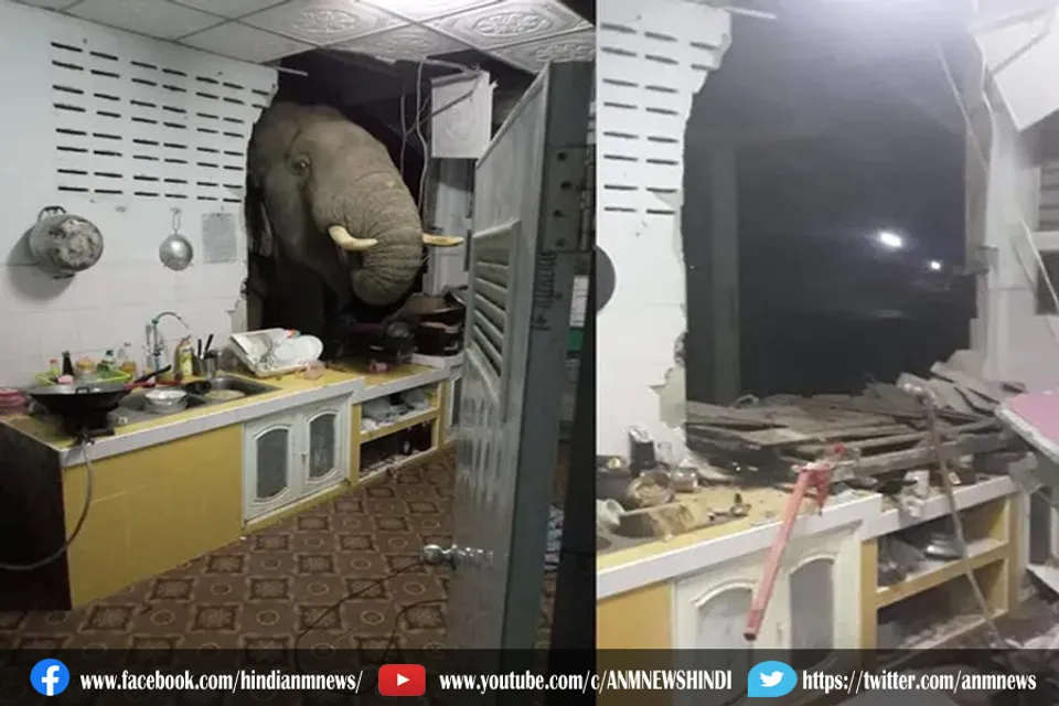 खाना क्या बना है मैडम?