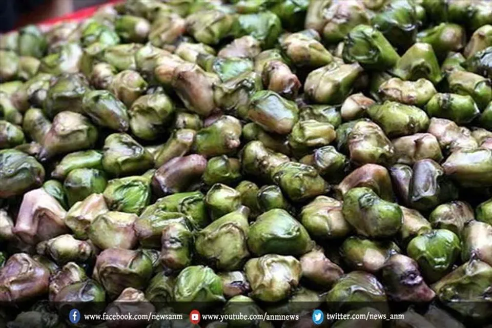 जानें सिंघाड़ा खाने के कमाल के फायदे