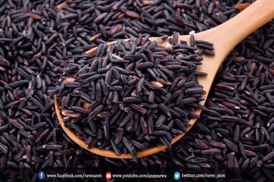 काले चावल के फायदे
