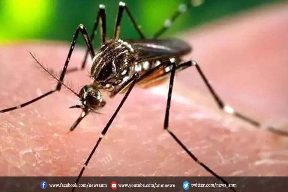 बंगाल में डेंगू दे रही है नई चुनौती