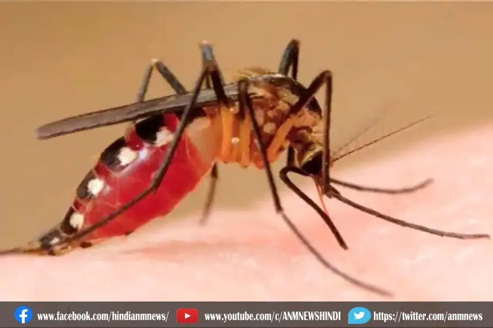 पिछले साल का रिकॉर्ड तोड़ दिया डेंगू