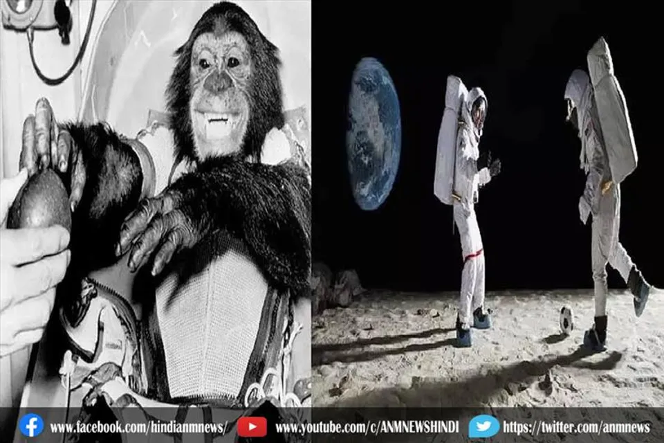 बंदरों, कुत्तों और चिम्पैंजियों का बड़ा योगदान