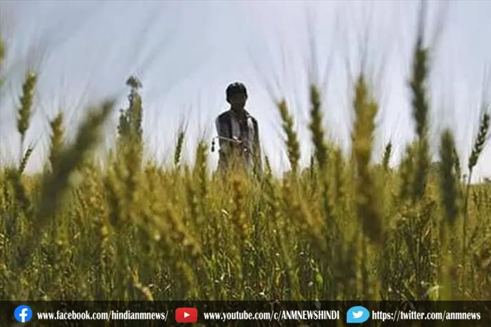 चुनाव से पहले इस राज्य में किसानों के लिए बड़ा ऐलान, 2 लाख रुपये तक का कर्ज माफ