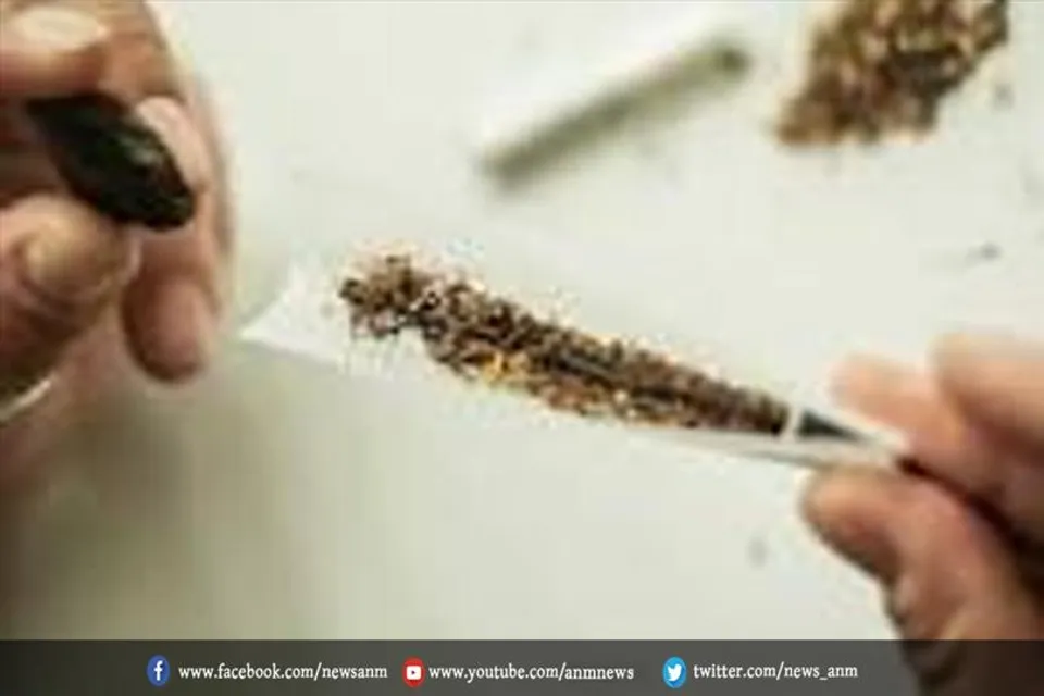 चरस की खेप के साथ 3 तस्कर गिरफ्तार