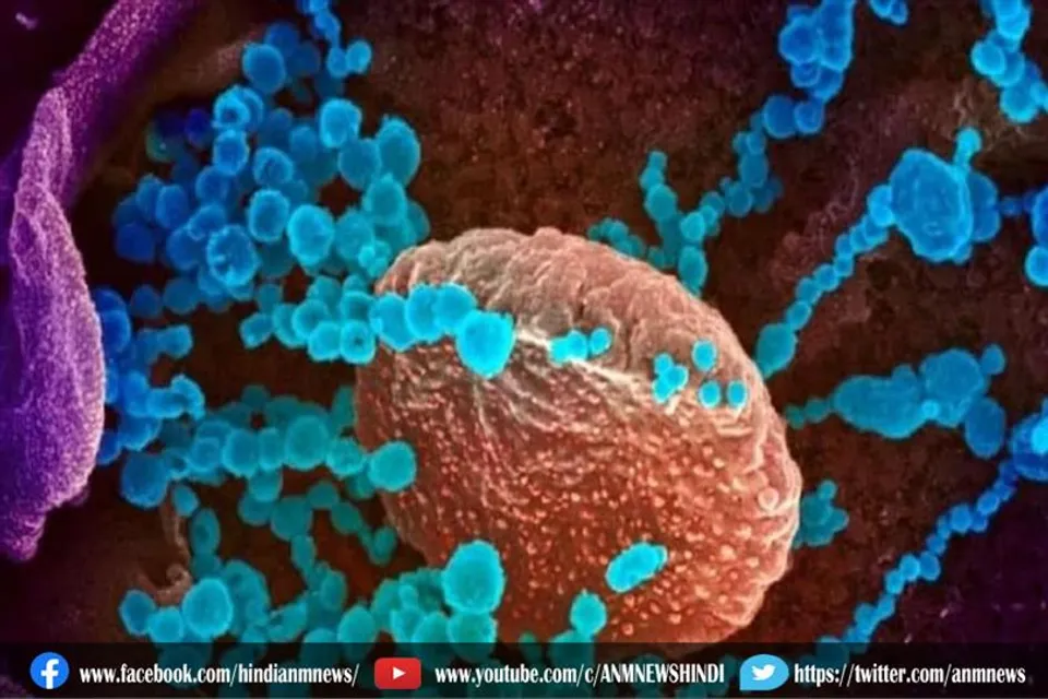 'ओमिक्रॉन' : देश में कुल संक्रमित 61 हुए