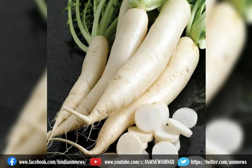जानिए मूली के फायदे