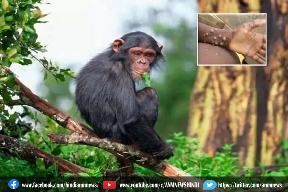 सावधान : कोरोना के बाद इंसानों में अब आया मंकी वायरस