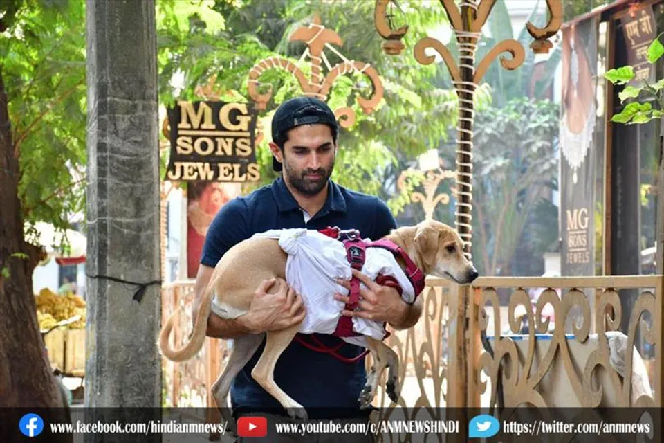 आदित्य रॉय कपूर लूना को गोद में लिए हुए स्पॉट