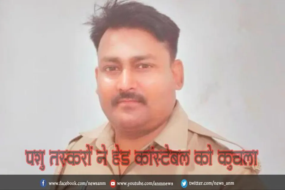 पशु तस्करों ने हेड कांस्टेबल को कुचला