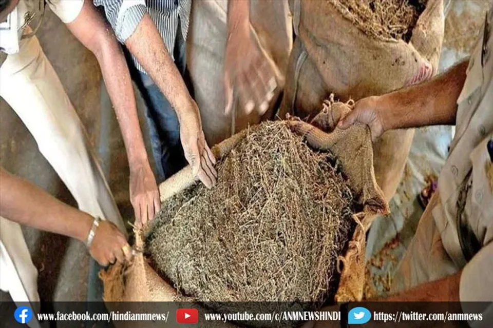 झारखंड पुलिस ने ट्रक से 40 लाख रुपये का गांजा किया जब्त