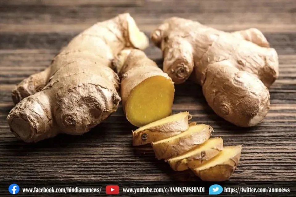 गैस की परेशानी दूर करेगा अदरक