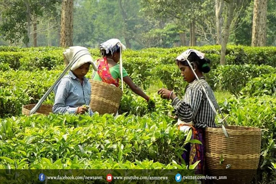रूस-यूक्रेन युद्ध के चलते भारत का ये कारोबार धीमा होने का आसार