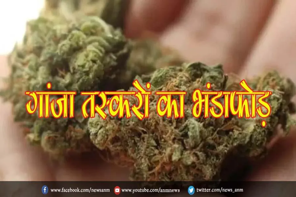 गांजा तस्करों का भंडाफोड़