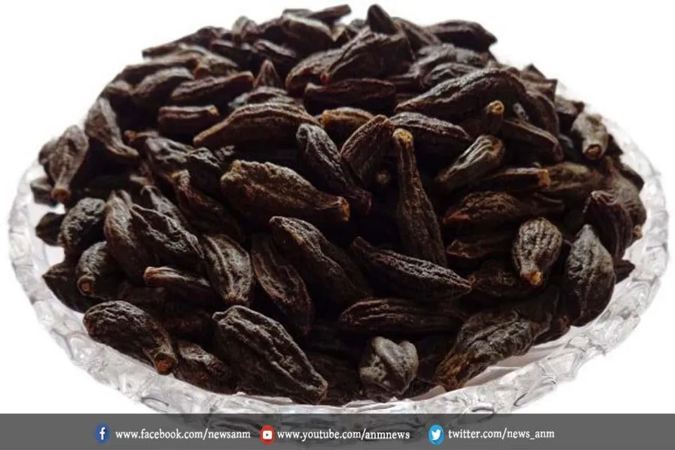 शरीर के लिए बेहद गुणकारी है हरड़