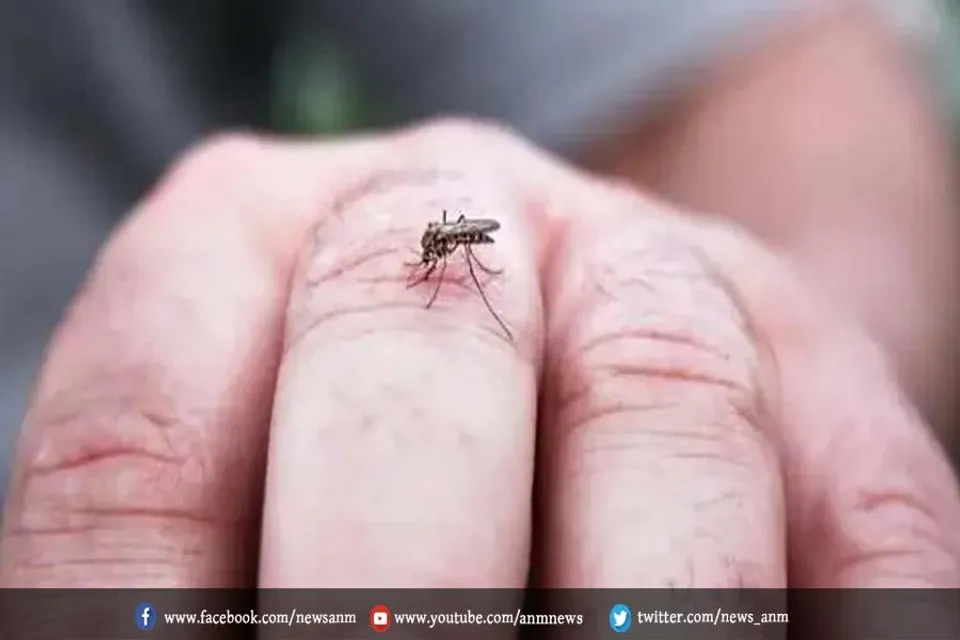 डेंगू का कहर जारी