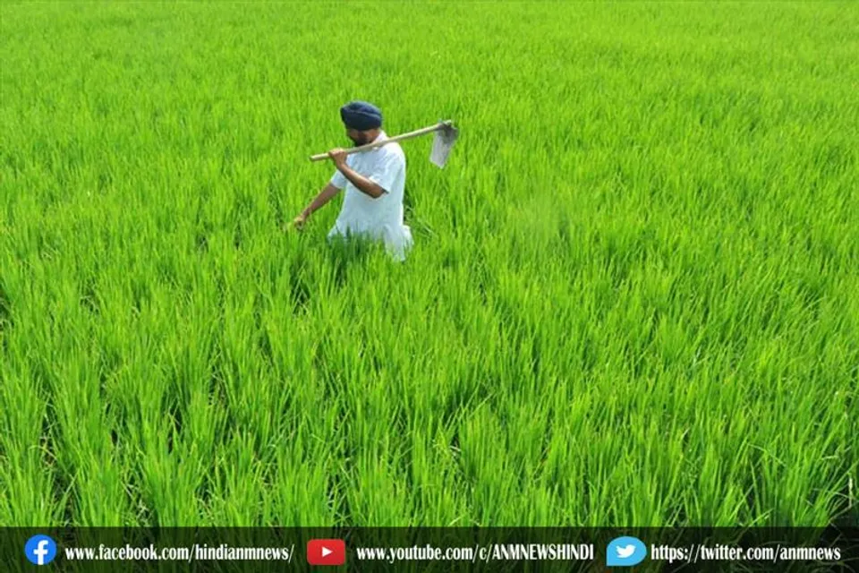 भारी बारिश से फसल बर्बाद, 55 हजार किसानों ने मांगा मुआवजा