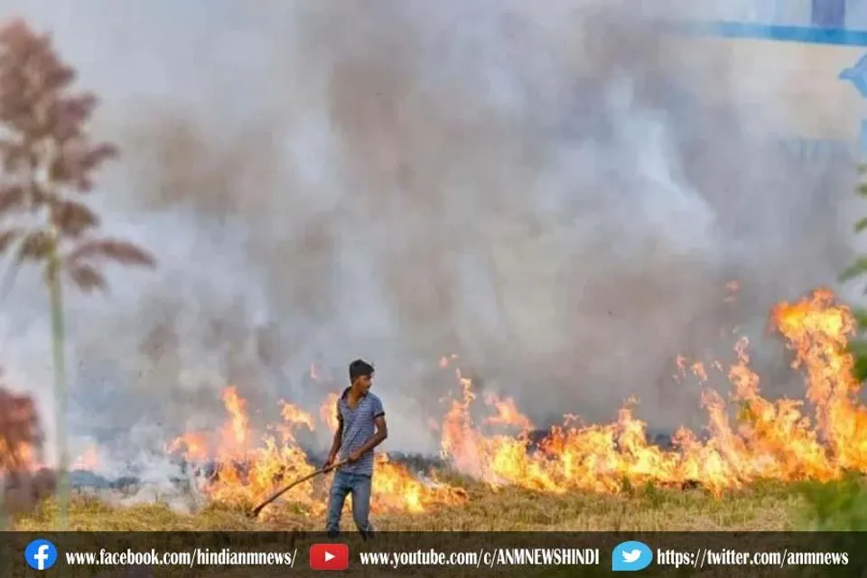 पंजाब में एक दिन में रिकॉर्ड तीन हजार से ज्यादा जगहों पर जलाई पराली