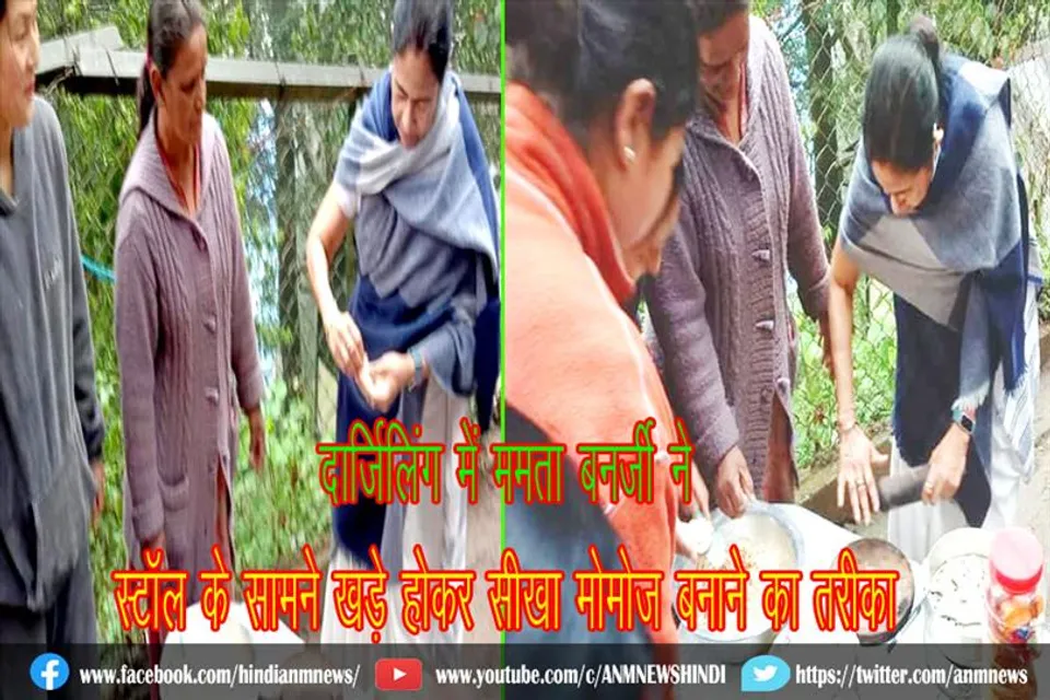 दार्जिलिंग में ममता बनर्जी ने स्टॉल के सामने खड़े होकर सीखा मोमोज बनाने का तरीका
