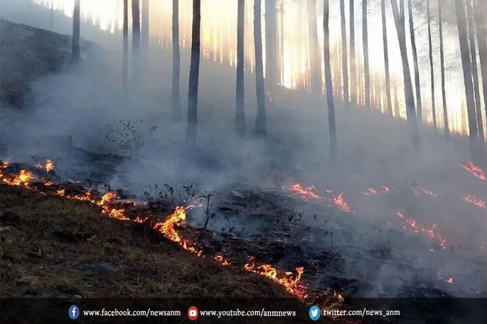 इस वर्ष सर्दियों के मौसम में अनुमान के मुताबिक कम हुई है वर्षा