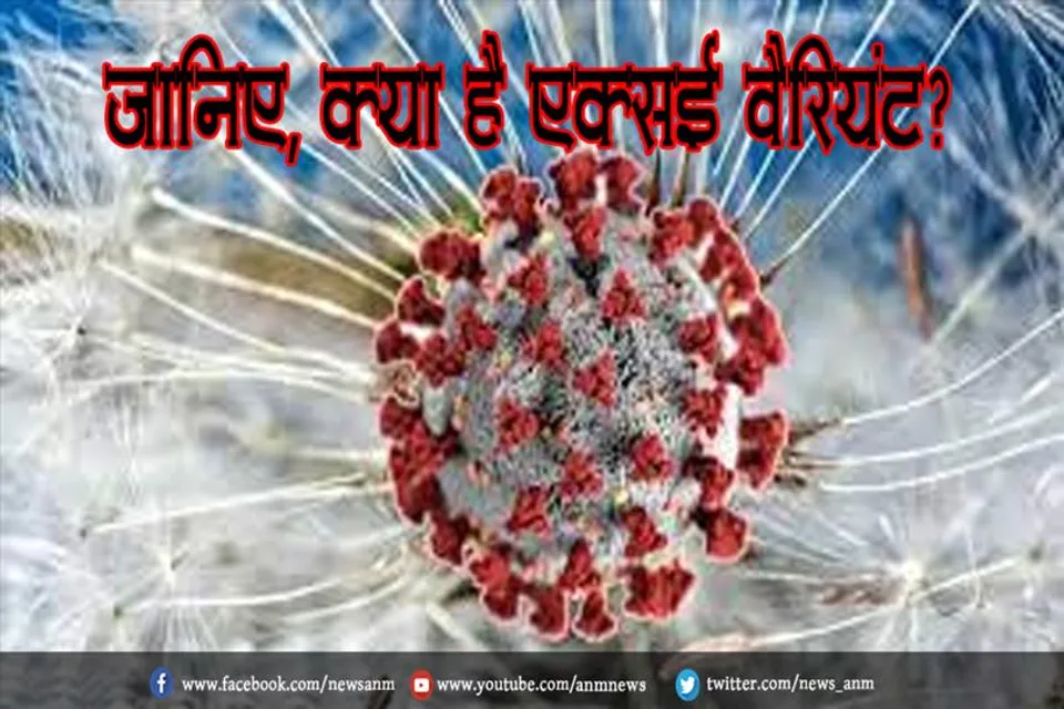 जानिए, क्या है एक्सई वैरियंट?