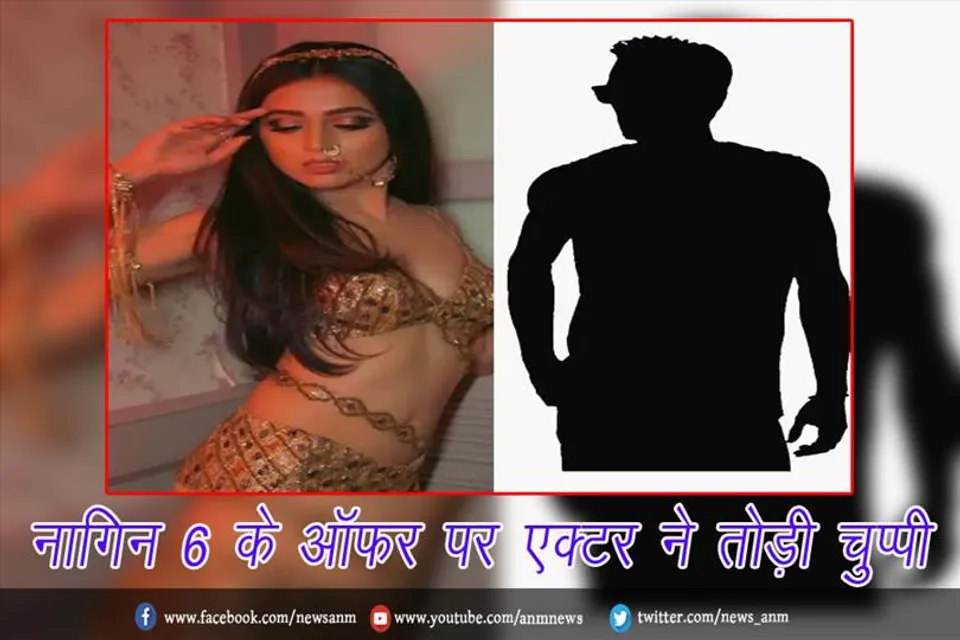 नागिन 6 के ऑफर पर एक्टर ने तोड़ी चुप्पी