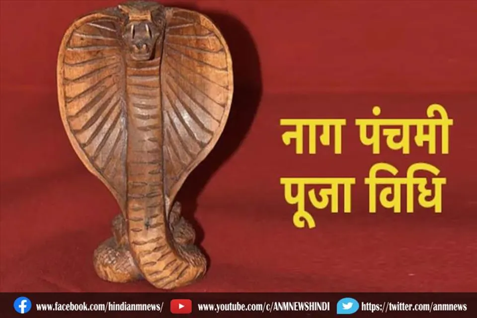 नाग पंचमी पर नाग देवता की पूजन की सही विधि और नियम