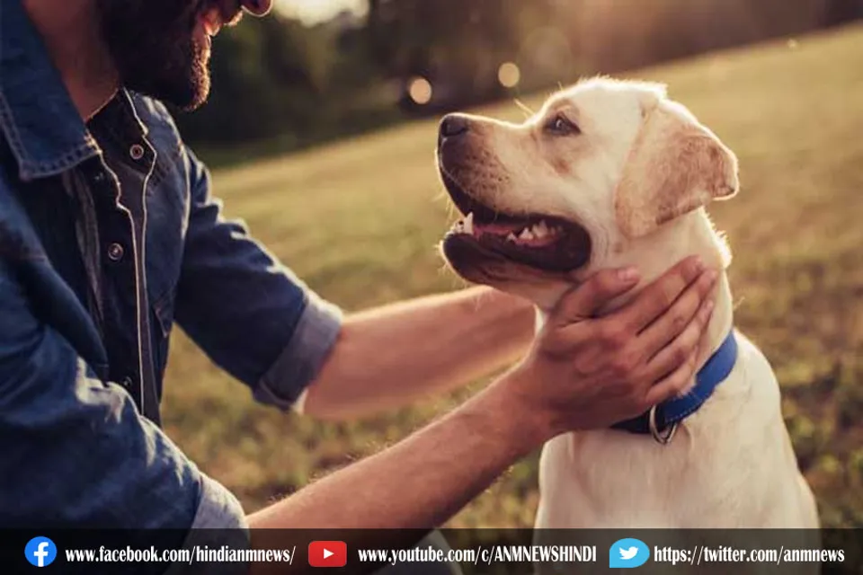 विधि-विधान के साथ होगा कुत्तों का अंतिम संस्‍कार, जानिए कहाँ