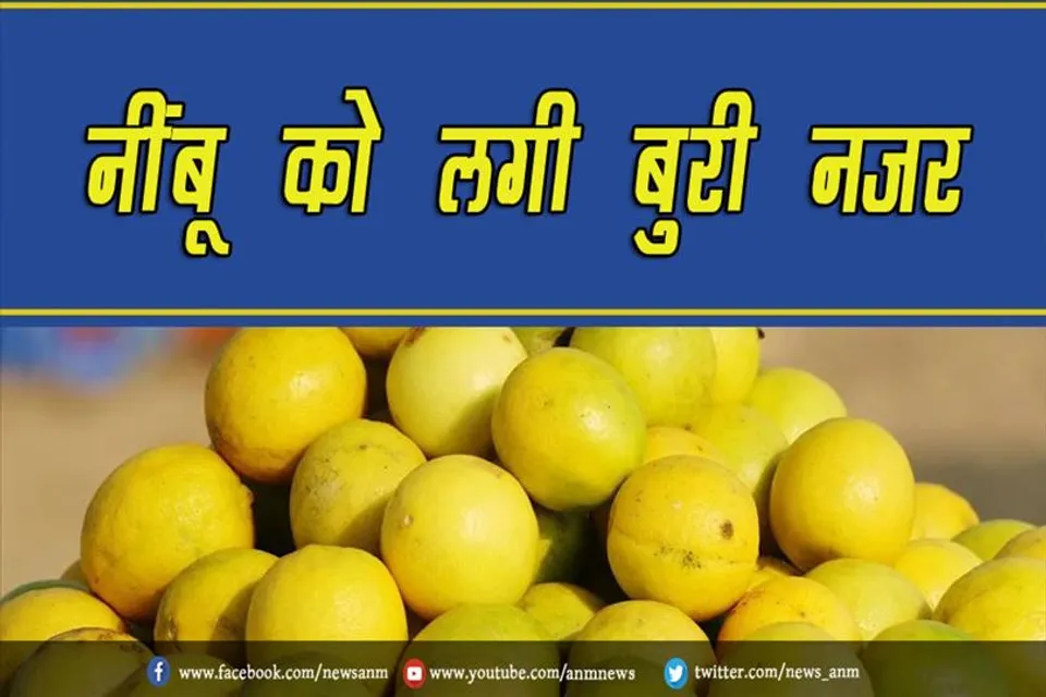 नींबू को लगी बुरी नजर