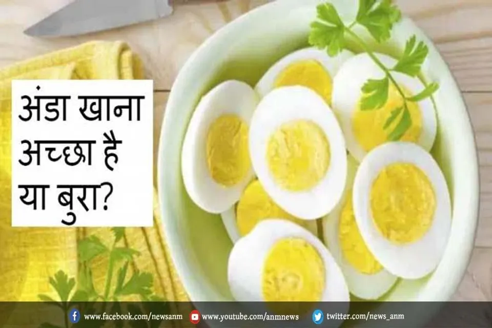 क्या रोजाना अंडे खाने से हार्ट डिजीज का खतरा बढ़ सकता है?