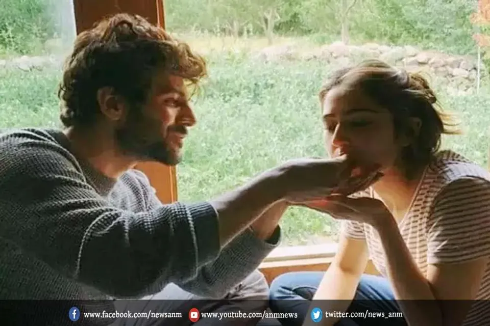 क्या सारा-कार्तिक के ब्रेकअप की वजह थी अमृता सिंह?