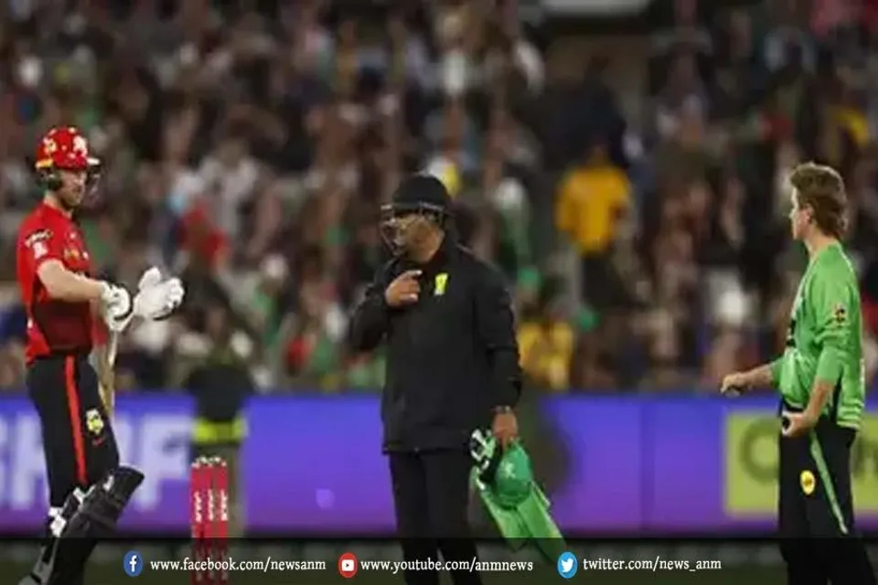 एडम ज़ैम्पा घिरे आलोचना में