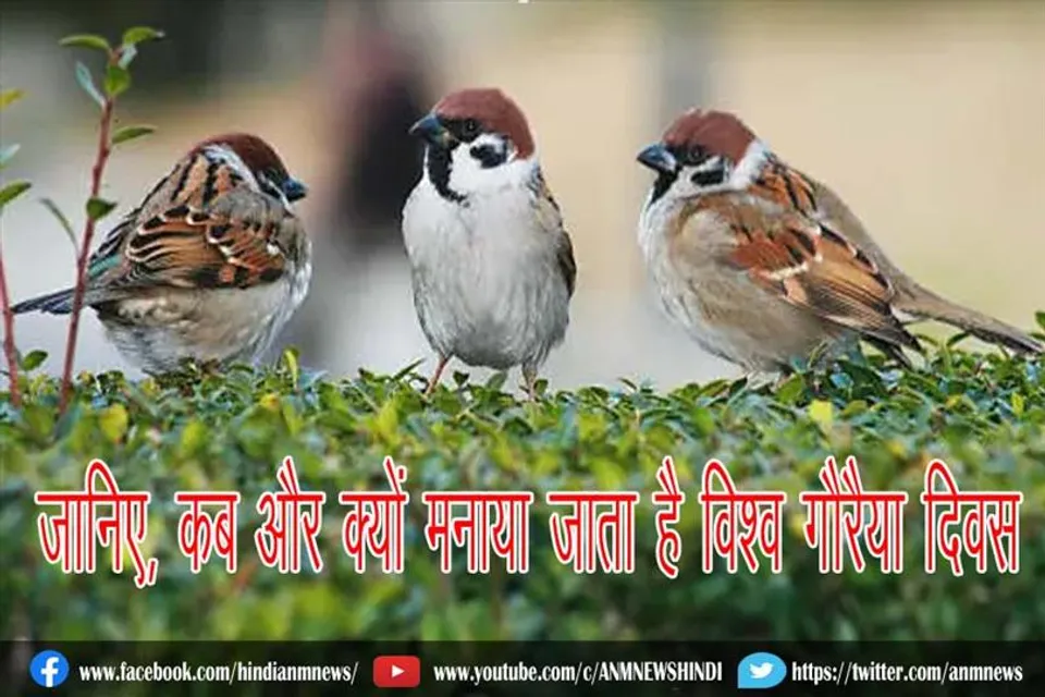 जानिए, कब और क्यों मनाया जाता है विश्व गौरैया दिवस