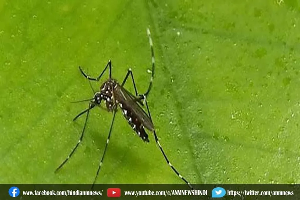 डेंगू : केंद्रीय स्वास्थ्य मंत्री ने इस स्थिति में की बैठक