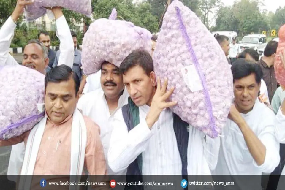 लहसुन के बोरे लेकर कांग्रेस विधायक विधानसभा पहुंचे, लकिन क्यों?