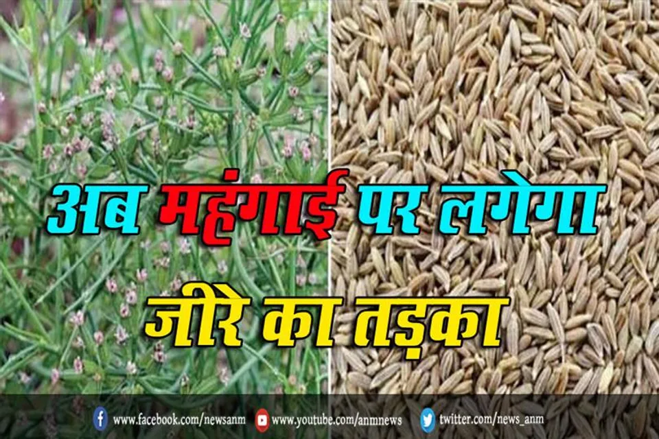 अब महंगाई पर लगेगा जीरे का तड़का
