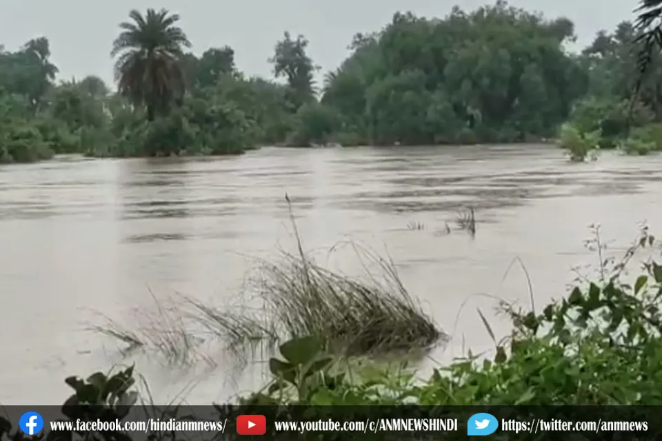 लगातार बारिश से डूबी धान की जमीन