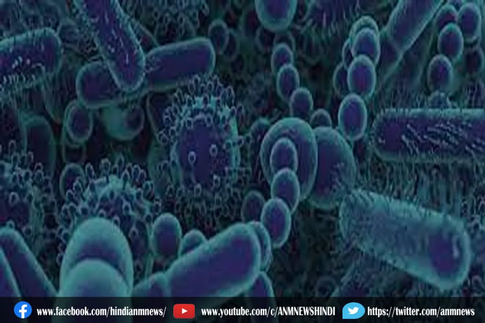 योनि माइक्रोबायोम क्या है?