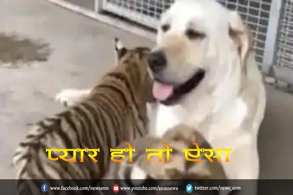 प्यार हो तो ऐसा, देखे वीडियो