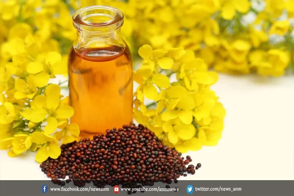 खाद्य तेलों की कीमत में बड़ी उछाल